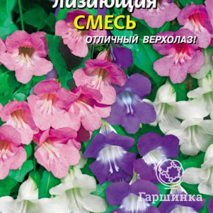 

Семена Азарина лазающая Смесь 10 шт Плазменные семена