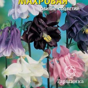 

Семена Аквилегия махровая 0,1 гр Плазменные семена