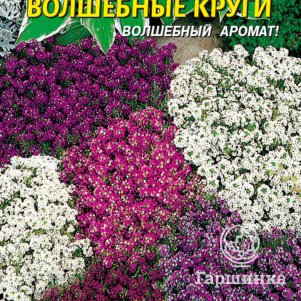 

Семена Алиссум Волшебные круги 0,1 гр Плазменные семена