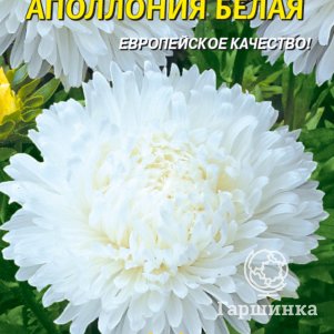 Семена  Астра Апполония Белая  0,2 гр Плазменные семена
