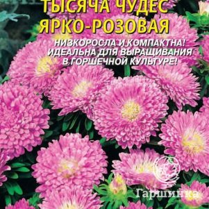

Семена Астра карликовая Тысяча чудес ярко-розовая 0,2гр Плазменные семена