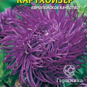 

Семена Астра Картхойзер 0,2 гр Плазменные семена