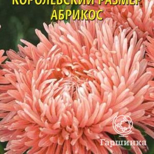 

Семена Астра Королевский размер, АБРИКОС 0,1 гр Плазменные семена