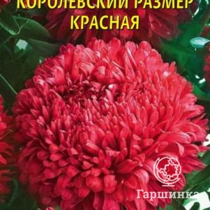 

Семена Астра Королевский размер, КРАСНАЯ 0,1 гр Плазменные семена