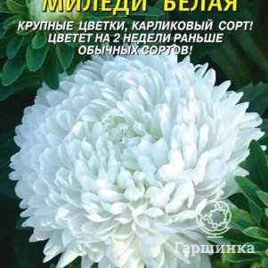 

Семена Астра Миледи Белая 0,1 гр Плазменные семена