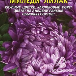 

Семена Астра Миледи Лилак 0,2 гр Плазменные семена