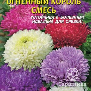 

Семена Астра Огненный король смесь 0,3гр Плазменные семена