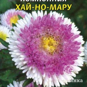 Семена  Астра помпонная Хай-Но-Мару  0,1 гр Плазменные семена