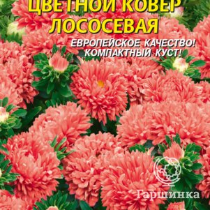 

Семена Астра Цветочный ковер, ЛОСОСЕВАЯ 0,3 гр Плазменные семена