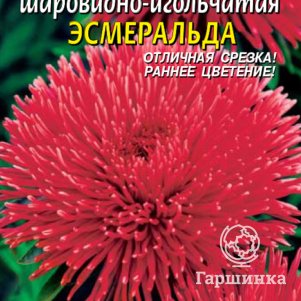 Семена  Астра шаровидно-игольчатая Эсмеральда  0,2 гр Плазменные семена