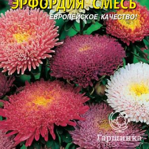 Семена  Астра Эрфордия, смесь  0,3 гр Плазменные семена
