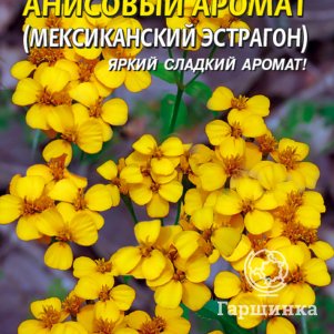 Семена  Бархатцы Анисовый аромат  50 шт Плазменные семена