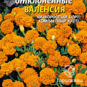 Семена  Бархатцы Валенсия  45 шт Плазменные семена
