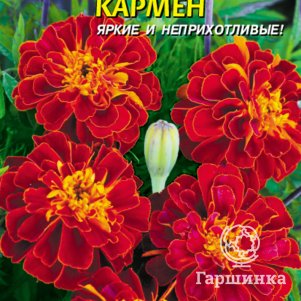Семена  Бархатцы Кармен  45 шт Плазменные семена