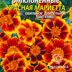 Семена  Бархатцы Красная Мариетта  45 шт Плазменные семена