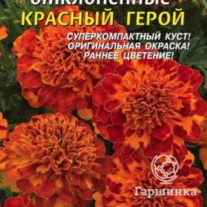 Семена  Бархатцы отклоненные Красный Герой  15 шт Плазменные семена