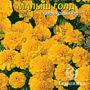 Семена  Бархатцы отклоненные Малыш Голд  30 шт Плазменные семена