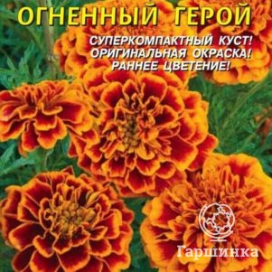 Семена  Бархатцы отклоненные Огненный Герой  15 шт Плазменные семена