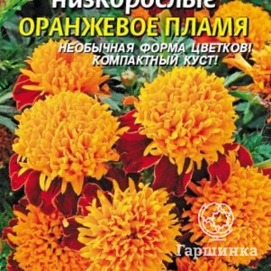 

Семена Бархатцы отклоненные Оранжевое пламя 45 шт Плазменные семена