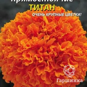 

Семена Бархатцы прямостоячие Титан 45 шт Плазменные семена