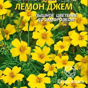 

Семена Бархатцы тонколистные Лемон джем 50 шт Плазменные семена