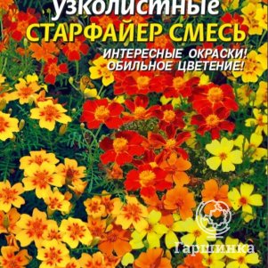 Семена  Бархатцы узколистные Старфайер, смесь  20 шт Плазменные семена