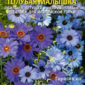 

Семена Брахикома Голубая малышка 0,05 гр Плазменные семена
