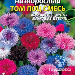

Семена Василек Том Поц, смесь низкорослая 0,2 гр Плазменные семена