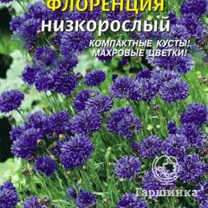 

Семена Василек Флоренция низкорослый 0,2 гр Плазменные семена