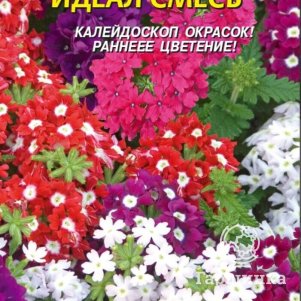 

Семена Вербена Идеал смесь 0,1 гр Плазменные семена