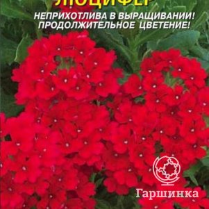 

Семена Вербена Люцифер 0,05 гр Плазменные семена