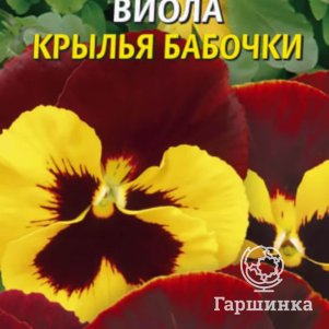 

Семена Виола Крылья бабочки 0,04 гр Плазменные семена