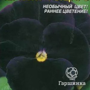 

Семена Виола Черный рыцарь 0,1 гр Плазменные семена