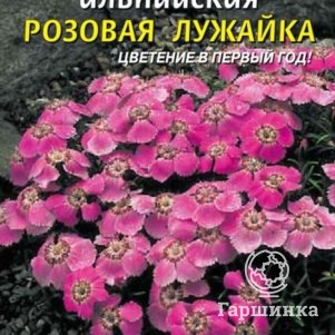 Семена  Гвоздика альпийская Розовая лужайка  0,05 гр Плазменные семена