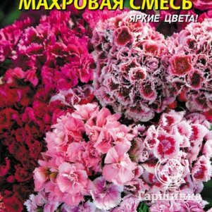 

Семена Гвоздика турецкая, махр. смесь 0,2 гр Плазменные семена