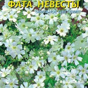 

Семена Гипсофила Фата невесты 0,5 гр Плазменные семена