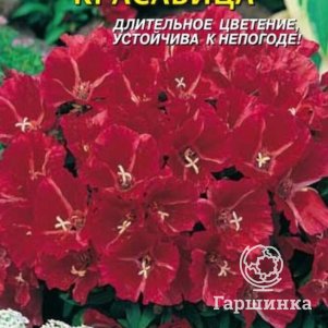Семена  Годеция Красавица  0,2 гр Плазменные семена