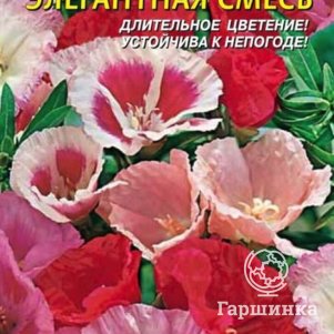 Семена  Годеция Элегантная смесь  0,2 гр Плазменные семена