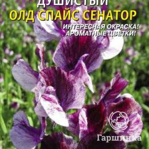 Семена  Горошек душистый Олд Спайс Сенатор  0,4 гр Плазменные семена