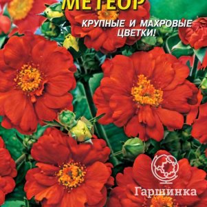 

Семена Гравилат Метеор 0,1 гр Плазменные семена