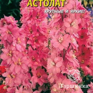Семена  Дельфиниум Астолат  0,05 гр Плазменные семена