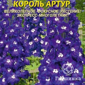 Семена  Дельфиниум Король Артур  0,05 гр Плазменные семена