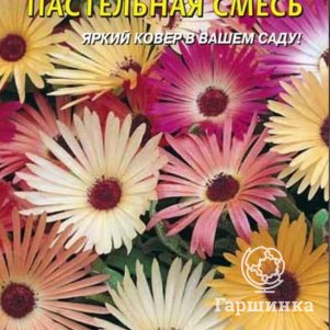 

Семена Доротеантус Пастельная смесь 0,1 гр Плазменные семена