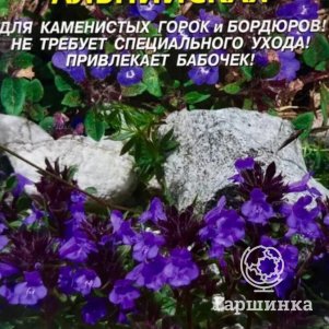 

Семена Душевка альпийская 0,01 гр Плазменные семена