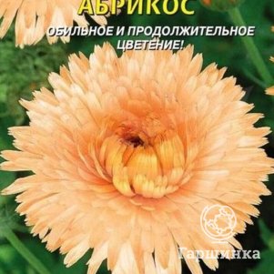 

Семена Календула Абрикос 0,3 гр Плазменные семена