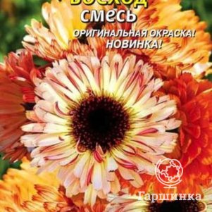 

Семена Календула Восход смесь 0,2 гр Плазменные семена
