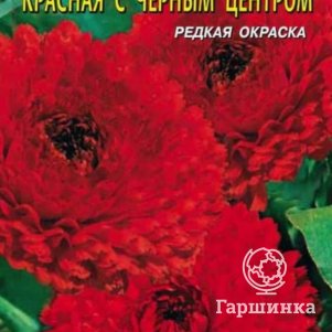 

Семена Календула Красная с чёрным центром 0,3 гр Плазменные семена