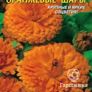 

Семена Календула Оранжевые шары 0,3 гр Плазменные семена