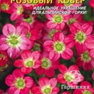 

Семена Камнеломка Розовый ковер 0,01 гр Плазменные семена