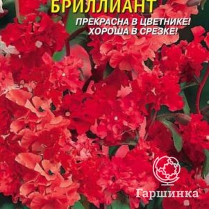 

Семена Кларкия изящная Бриллиант 0,1 гр Плазменные семена